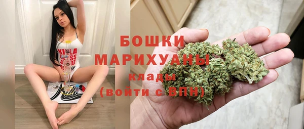 сатива Балахна