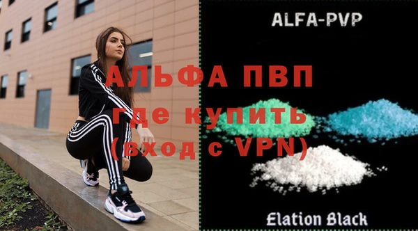 сатива Балахна