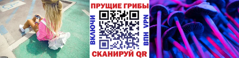 Купить где  Подпорожье  Псилоцибиновые грибы Psilocybine cubensis 